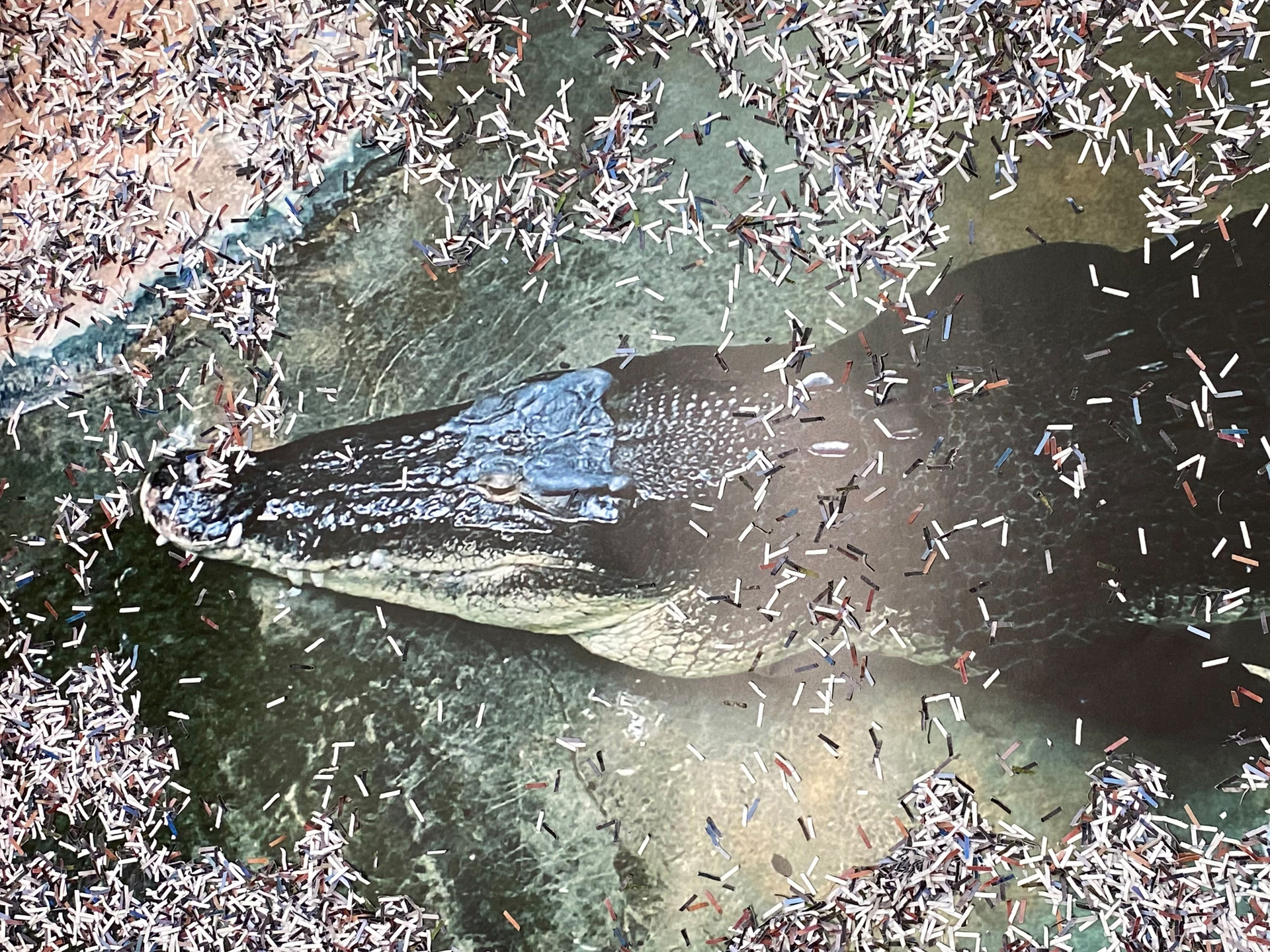 Detail shot of Amphoras series from Flying Carpet Shop, showing Monte Testaccio-inspired arrangements and artefacts